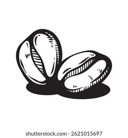 Single coffee beans minimalist illustration, black and white line art
