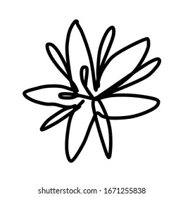 Una sola flor de café. Dibujo al estilo Doodle. Para el diseño, menú, café, papel envolvente.
