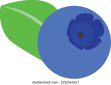 Single colored blueberry flat vector illustration