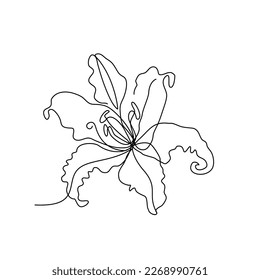 Single continue line drawing of lily flower. minimal art style. vector illustration.