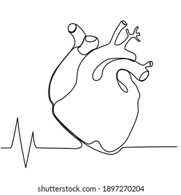 Single continuous line of anatomy Heart with heartbeat. Line art of Heart human organ and Cardio. Trendy minimalistic style. Vector illustration.