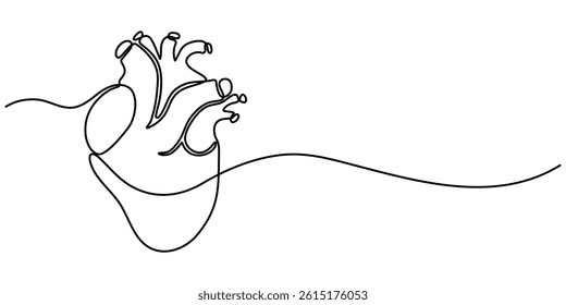  Single continuous line art anatomical human heart silhouette. Healthy medicine concept design one sketch outline drawing vector illustration, Human heart one line colored continuous drawing.