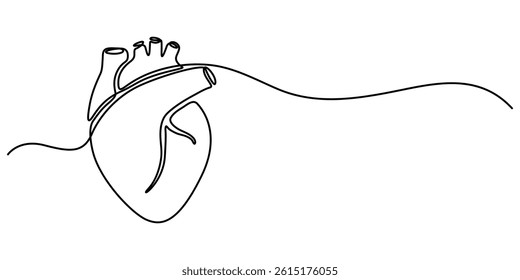  Single continuous line art anatomical human heart silhouette. Healthy medicine concept design one sketch outline drawing vector illustration, Human heart one line colored continuous drawing.