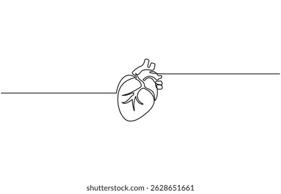 Einzelne kontinuierliche Linie Kunst anatomische menschliche Herz Silhouette. Konzept der gesunden Medizin, eine Skizze Umriss Zeichnung Vektorgrafik, Menschliches Herz eine Linie farbige kontinuierliche Zeichnung