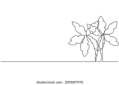 Single continuous line art coconut tree palm. Tropic paradise island landscape design one sketch outline drawing, travel concept. Vector illustration.