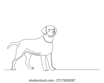 Desenho de linha contínua única de cão labrador recuperador adorável. Animais Domésticos. 