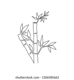 Single continuous line drawing of bamboo trees for plantation logo identity. Fresh evergreen perennial flowering plant concept for plant icon. Modern one line draw graphic design vector illustration