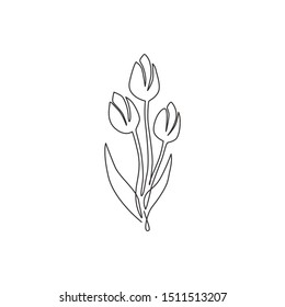 Single continuous line drawing of beauty fresh tulip for garden logo identity. Decorative Netherlands nationality flower concept for fashion textile. Modern one line draw design vector illustration