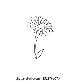Single continuous line drawing of beauty fresh bellis perennis for home wall decor poster art. Printable decorative common daisy flower concept. Modern one line draw graphic design vector illustration