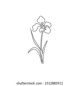 Dibujo único de línea continua de belleza plantas perennes frescas para el logotipo del jardín. Diseño de flor de iris decorativo impreso para adorno de tarjetas de felicitación. Ilustración vectorial de diseño de tracción de una línea moderna
