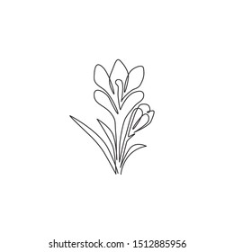 Single continuous line drawing of beauty fresh croci for home wall art decor poster print. Printable decorative crocus flower concept for card ornament. Modern one line draw design vector illustration