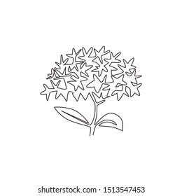 Single continuous line drawing  beauty fresh flower plant for home decor wall poster print art. Printable decorative ixora flower for invitation card. Modern one line draw design vector illustration