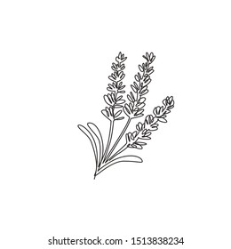 Single Continuous Line Drawing Of Beauty Fresh Lavandula For Garden Logo. Printable Decorative Lavender Flower For Home Wall Decor Art Poster Print. Modern One Line Draw Design Vector Illustration