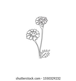 Featured image of post Sketch Marigold Flower Drawing / Choose from 130+ flower sketch graphic resources and download in the form of png, eps, ai or psd.