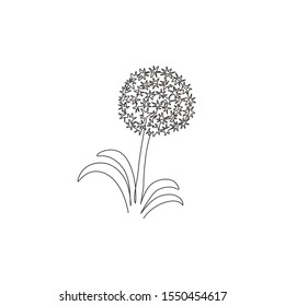 Single continuous line drawing beauty fresh allium giganteum for home decor wall art poster print. Decorative globemaster flower for floral card frame. Modern one line draw design vector illustration
