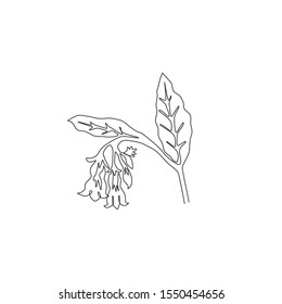 Single continuous line drawing of beauty fresh symphytum for garden logo. Decorative comfrey flower concept for floral invitation card frame. Modern one line draw design vector graphic illustration