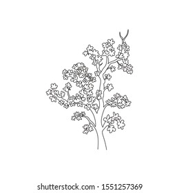 Single continuous line drawing beauty Japan sakura tree. Decorative cherry blossom plant for home decor wall poster art print. Travel and tours. Modern one line draw design graphic vector illustration