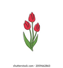 Single continuous line drawing of beauty fresh tulip for garden logo identity. Decorative Netherlands nationality flower concept for fashion textile. Modern one line draw design vector illustration