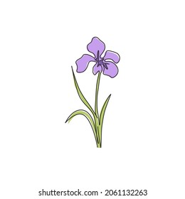 Dibujo de línea continua única belleza plantas frescas perennes para decoración de paredes de arte casero estampado de afiches. Flor de iris decorativa para adorno de tarjetas de felicitación. Ilustración vectorial de diseño de dibujo de una línea moderna