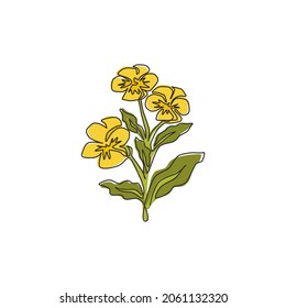 Dibujo de línea continua simple belleza fresco ranunculus para decoración casera estampado de arte en la pared. Flor de mariposa decorativa para adorno de tarjetas de felicitación. Ilustración vectorial de diseño de líneas de una línea