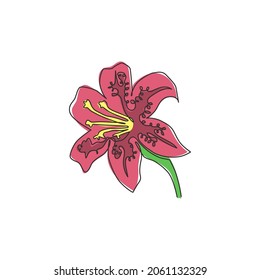 Dibujo de línea continua simple litio lancifolio de belleza para decoración casera estampado de afiches de arte en la pared. Flor de lirio tigre decorativa imprimible para el parque verde. Ilustración vectorial de diseño de dibujo de una línea moderna