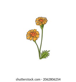 Single continuous line drawing of beauty fresh tagetes erecta for home decor wall art poster print. Decorative marigold flower for floral card frame. Modern one line draw design vector illustration