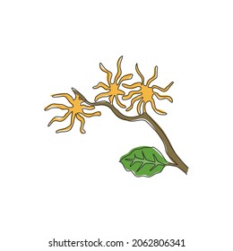 Single continuous line drawing beauty fresh witch hazels for home wall decor art poster print. Decorative snapping hazel plant concept for floral card. Modern one line draw design vector illustration