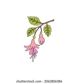 Single continuous line drawing of beauty fresh fuchsia flower for home decor wall art poster print. Decorative shrubs plant for floral invitation card. Modern one line draw design vector illustration