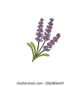 Single continuous line drawing of beauty fresh lavandula for garden logo. Printable decorative lavender flower for home wall decor art poster print. Modern one line draw design vector illustration