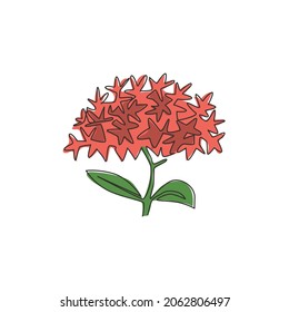 Dibujo de una sola línea de belleza flor fresca planta para la decoración de la casa estampado de carteles en la pared. Flor ixora decorativa imprimible para tarjeta de invitación. Ilustración vectorial de diseño de dibujo de una línea moderna