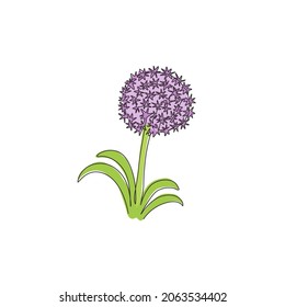 Einzelne zusammenhängende Linien Schönheit frische Allium giganteum für Heimdekor Wand-Poster Druck. Dekorative Globemaster-Blume für Blumenkartenrahmen. Modernes Einzeilendesign, Vektorgrafik