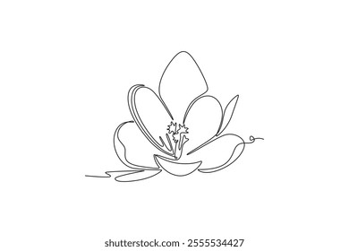 Single continuous line drawing beauty fresh croci for home wall art decor poster print. Printable decorative crocus flower concept for card ornament. One line draw graphic design vector illustration