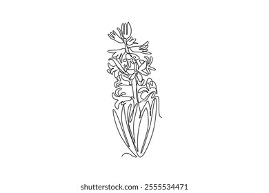 Single continuous line drawing of beauty fresh hyacinthus for garden logo. Printable decorative hyacinth flower for home decor wall art poster. Dynamic one line draw graphic design vector illustration