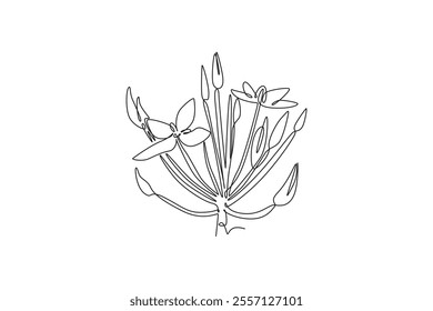 Single continuous line drawing beauty fresh flowering plant for garden logo. Printable decorative ixora flower concept for home decor wall art. Dynamic one line draw graphic design vector illustration