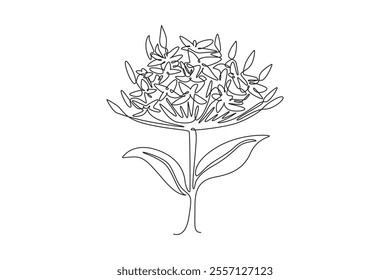 Single continuous line drawing of beauty fresh flowering plants for garden logo. Printable decorative ixora flower concept for greeting card ornament. One line draw graphic design vector illustration