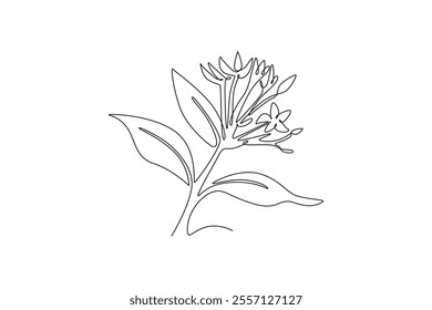 Single continuous line drawing of beauty fresh flowering plants for garden logo. Printable decorative ixora flower concept for greeting card ornament. One line draw graphic design vector illustration