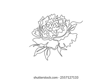 Single continuous line drawing beauty fresh herbaceous plant for home wall decor art poster print. Printable decorative peony flower for card ornament. One line draw graphic design vector illustration