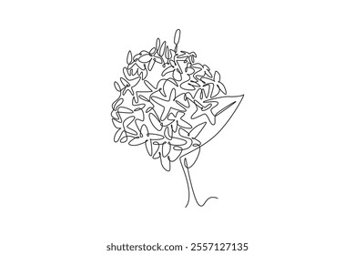 Single continuous line drawing beauty fresh flowering plant for garden logo. Printable decorative ixora flower concept for home decor wall art poster. One line draw graphic design vector illustration