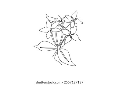 Single continuous line drawing beauty fresh flower plant for home decor wall poster print art. Printable decorative ixora flower for invitation card. One line draw graphic design vector illustration