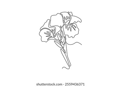 Single continuous line drawing beauty fresh canna for home decor wall art poster print. Printable decorative canna lily flower concept card ornament. One line draw graphic design vector illustration