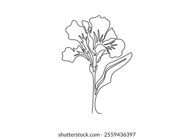 Single continuous line drawing beauty fresh canna for garden logo. Printable poster decorative canna lily flower concept for wedding invitation card. One line draw graphic design vector illustration