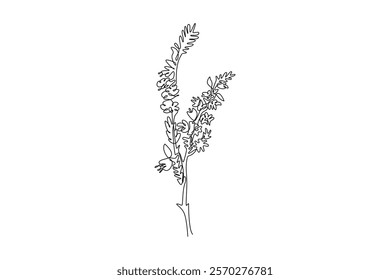 Single continuous line drawing beauty fresh heather for home decor wallpaper art poster. Decorative calluna vulgaris flower for floral invitation card. One line draw graphic design vector illustration