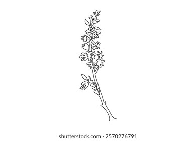 Single continuous line drawing of beauty fresh common heather for home decor wall art poster print. Decorative calluna vulgaris flower invitation card. One line draw graphic design vector illustration