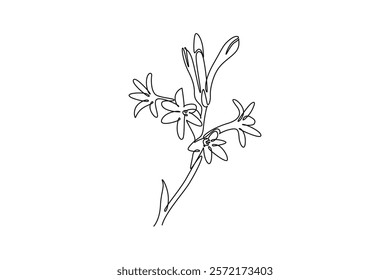 Single continuous line drawing beauty fresh polianthes tuberosa for home decor art wall poster. Decorative tuberose flower concept for invitation card. One line draw graphic design vector illustration