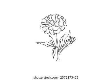 Single continuous line drawing beauty fresh marigold for home wall decor poster art. Printable decorative calendula flower concept park icon. Dynamic one line draw graphic design vector illustration