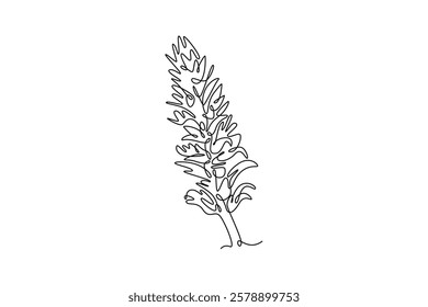 Single continuous line drawing beauty fresh bear breeches for garden logo. Decorative acanthus flower concept for floral wedding invitation card frame. One line draw graphic design vector illustration