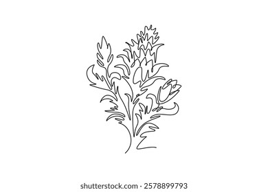 Single continuous line drawing beauty fresh bear's breeches for garden logo icon. Decorative acanthus flower concept for floral invitation card frame. One line draw graphic design vector illustration