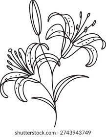 Single continuous line drawing beauty lilium lancifolium for home decor wall art poster print. Printable decorative tiger lily flower for green park. one line Icon drawing
