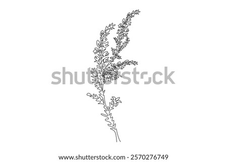 Single continuous line drawing beauty fresh common heather for garden logo. Decorative calluna vulgaris for home decor wall art poster print. Dynamic one line draw graphic design vector illustration