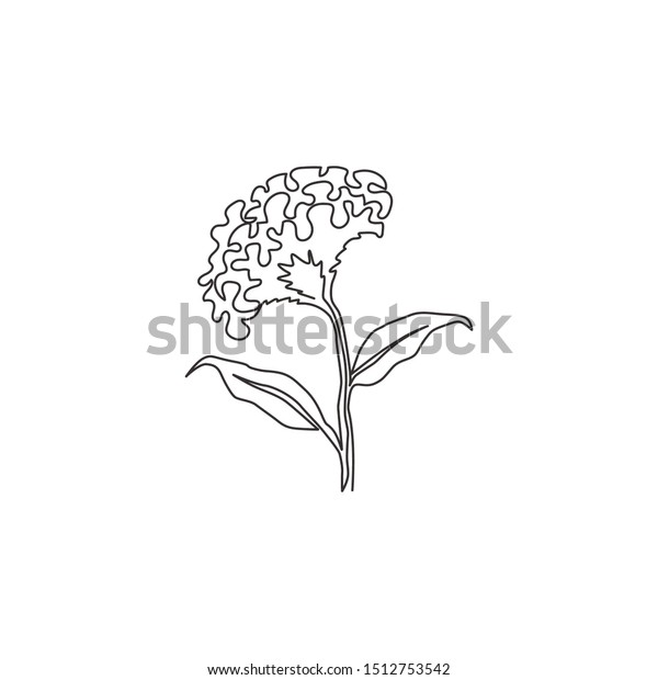 Single continuous line drawing of beauty\
fresh wool flowers for garden logo. Printable decorative cockscomb\
flower for home wall decor art poster print. Modern one line draw\
design vector\
illustration